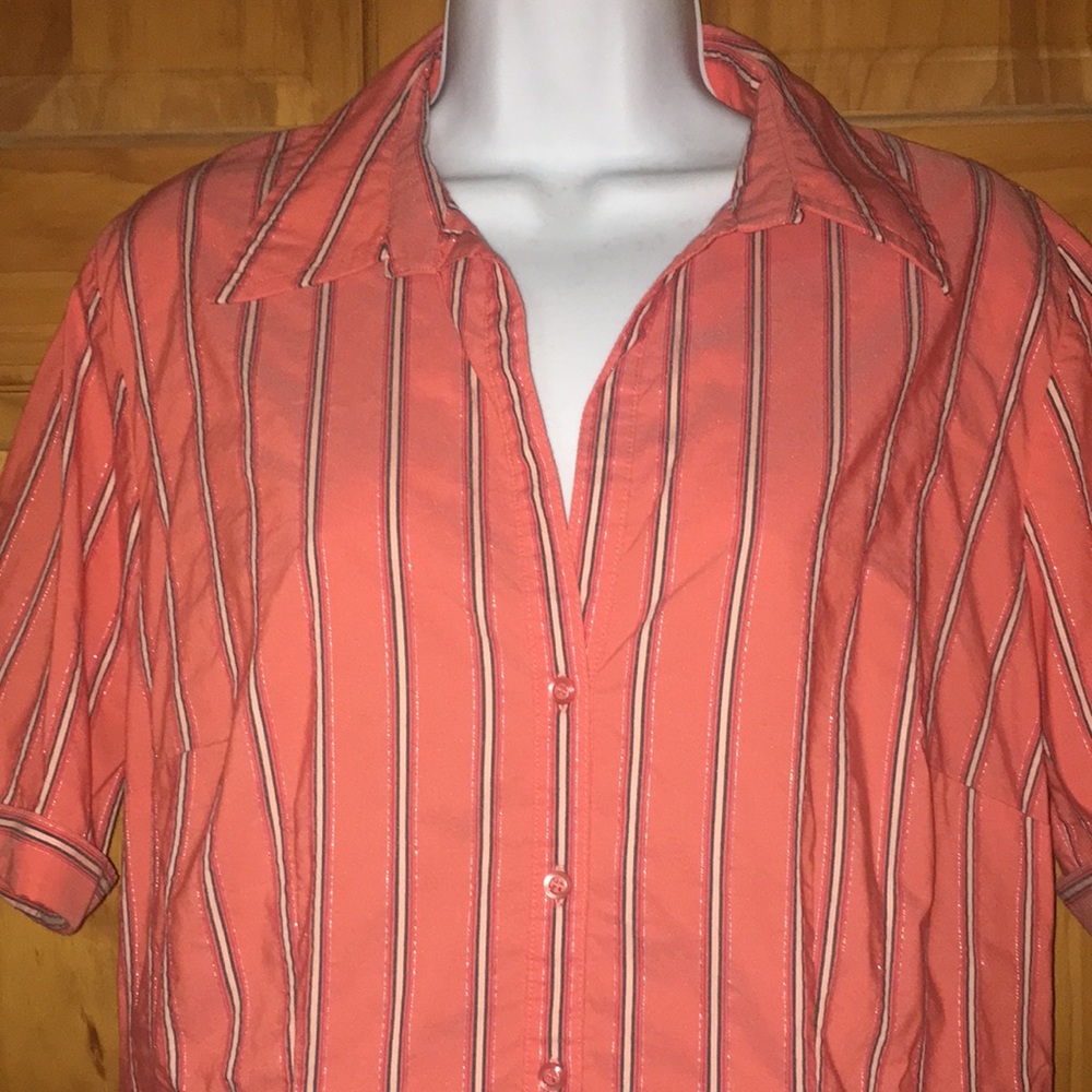 Dressy Blouse